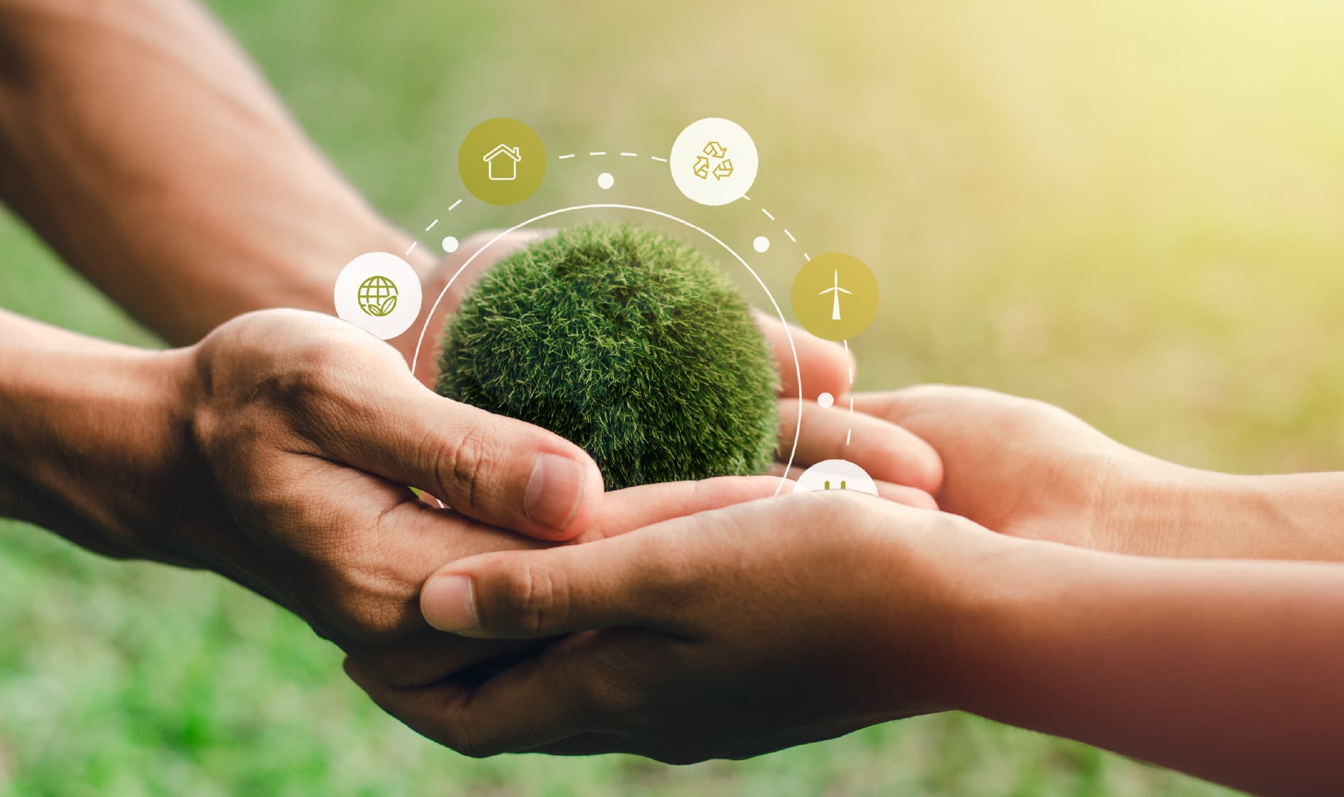 Pioneering Sustainable Practices